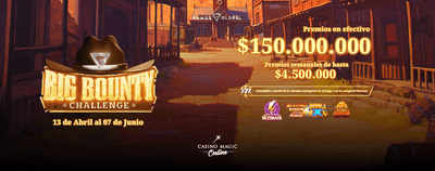 Big Bounty Reward